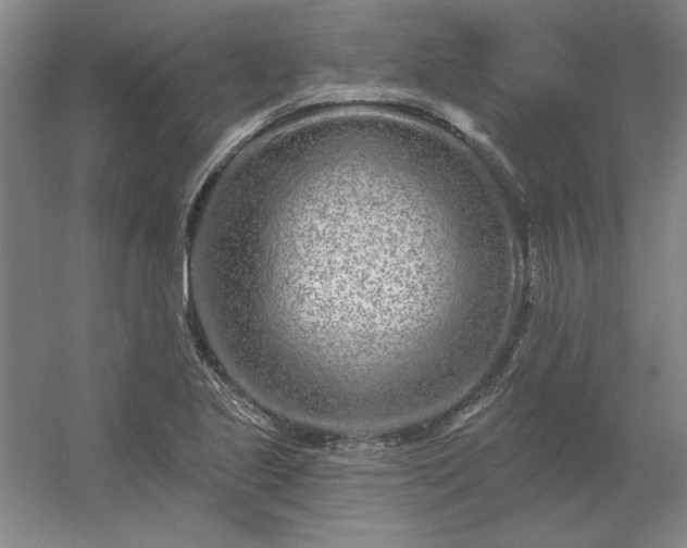 X0000056371221200509021805