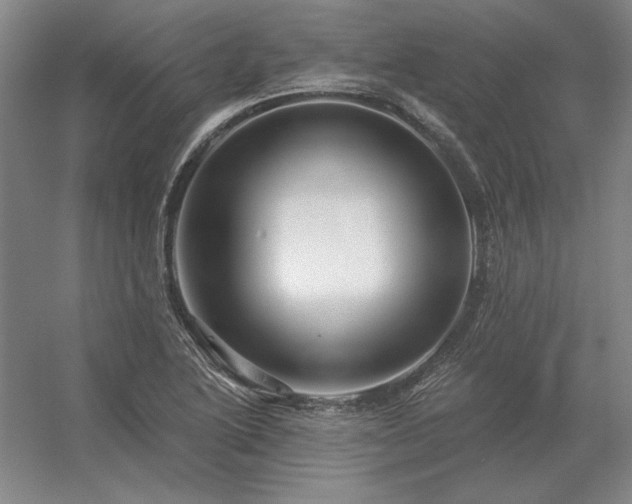 X0000056371222200509021805