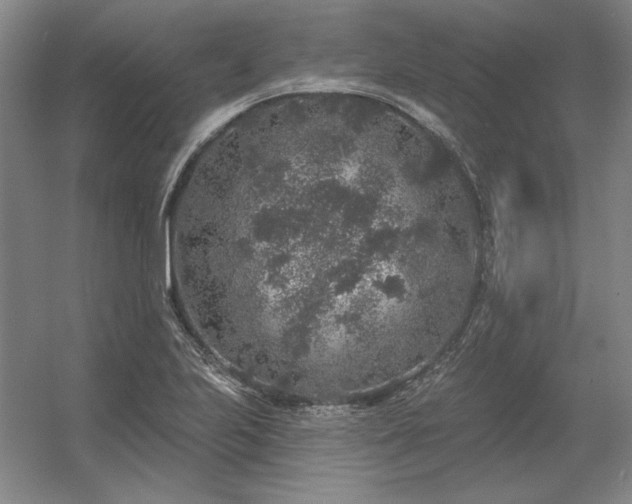 X0000056371223200509021805