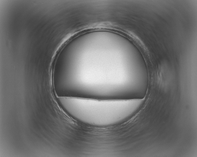 X0000056371224200509021805