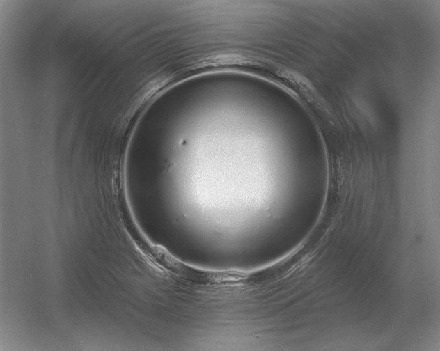 X0000056371225200509021805