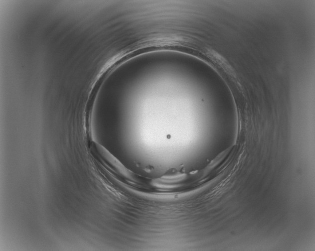 X0000056371226200509021805