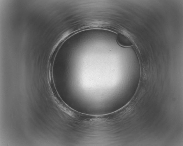 X0000056371227200509021805