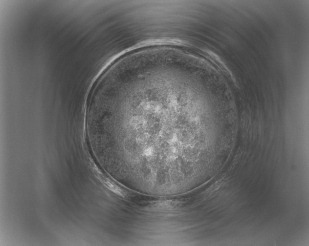 X0000056371228200509021805