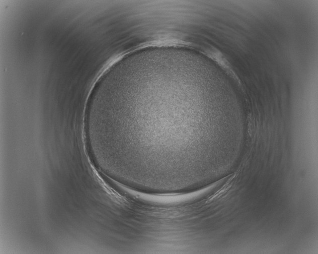 X0000056371229200509021805