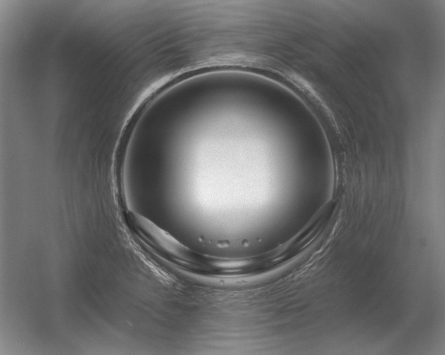 X0000056371230200509021806