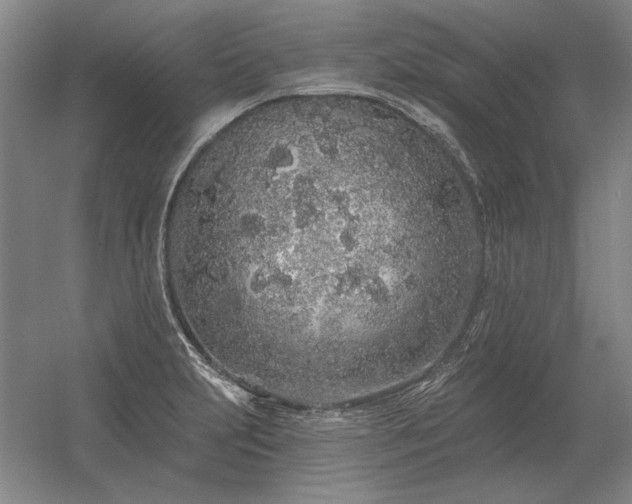 X0000056371231200509021806