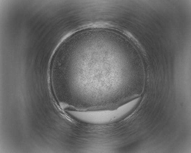 X0000056371232200509021806