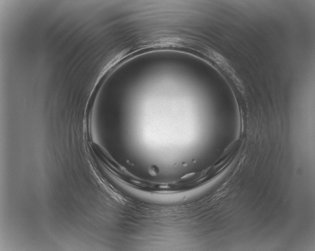 X0000056371234200509021806