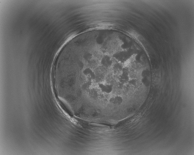 X0000056371235200509021806