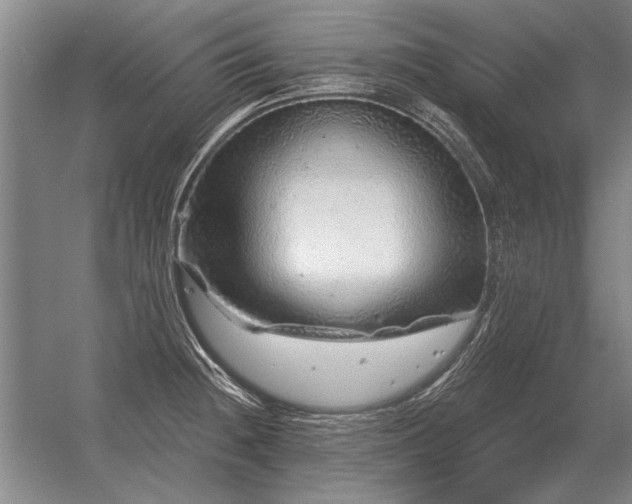 X0000056371236200509021806