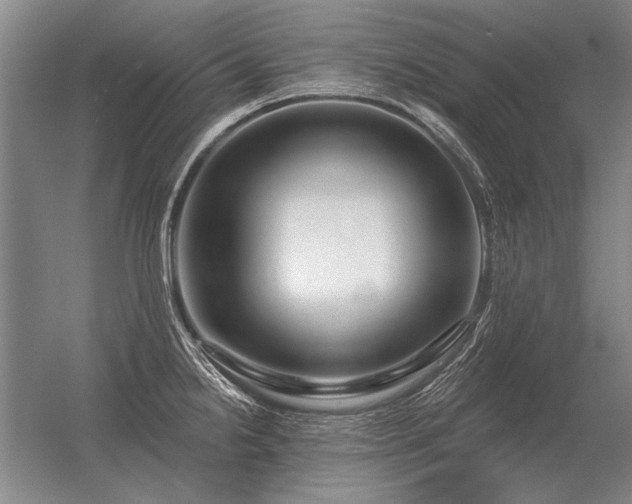 X0000056371238200509021806