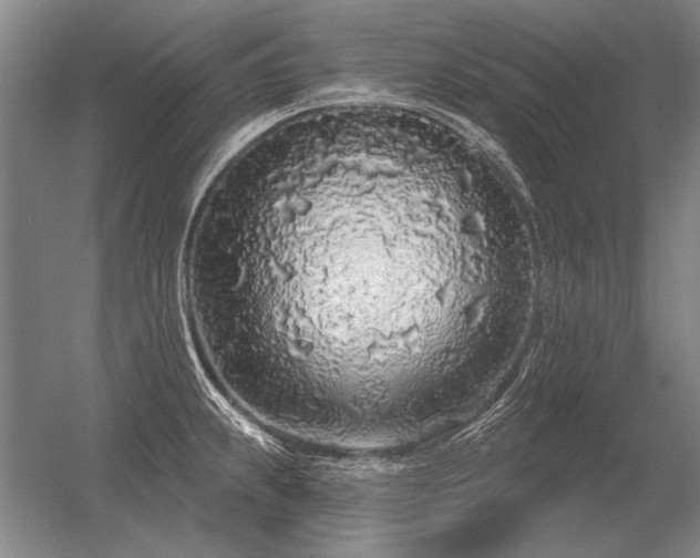 X0000056371239200509021806