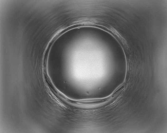 X0000056371240200509021806