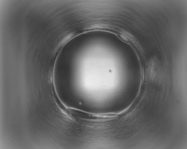 X0000056371241200509021806