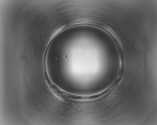 X0000056371242200509021806