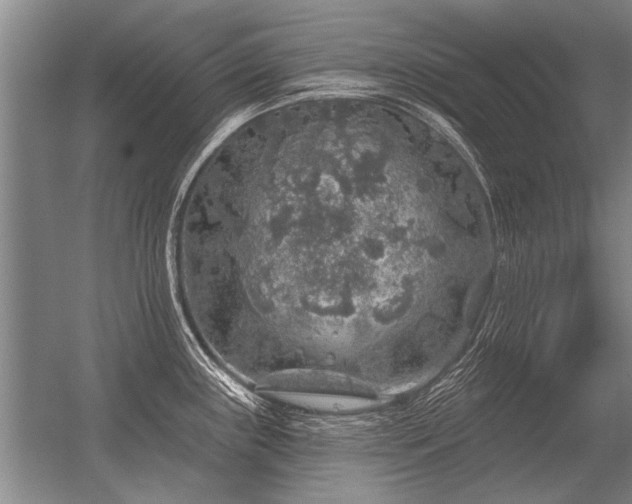 X0000056371243200509021806