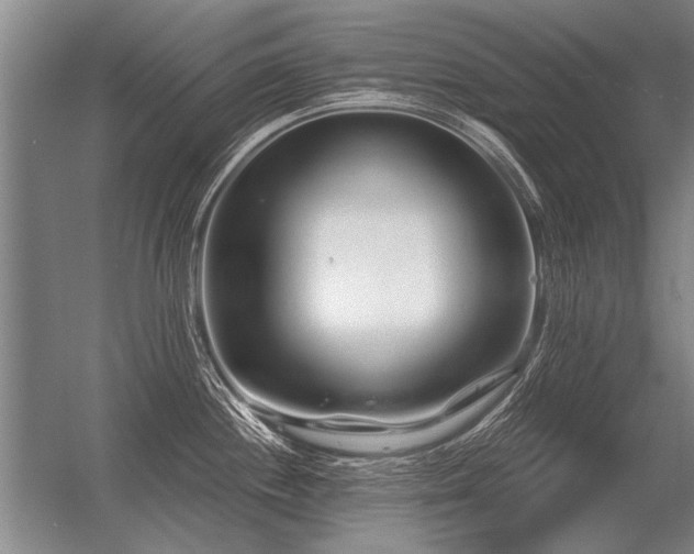 X0000056371244200509021806