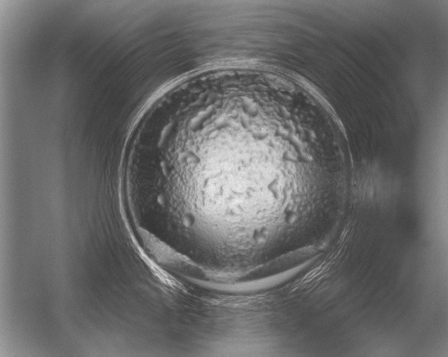 X0000056371245200509021806