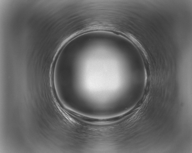 X0000056371246200509021806