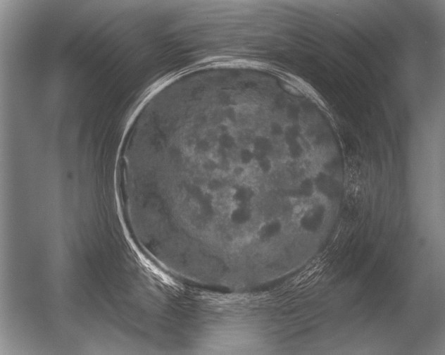 X0000056371247200509021806