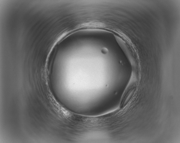 X0000056371248200509021806