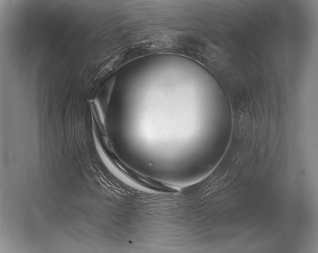 X0000056371250200509021805