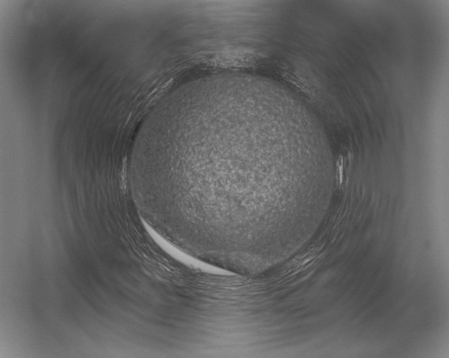 X0000056371251200509021805