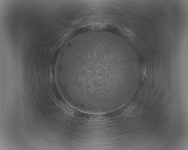 X0000056371252200509021805