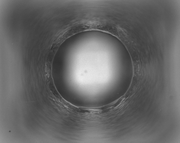 X0000056371253200509021805