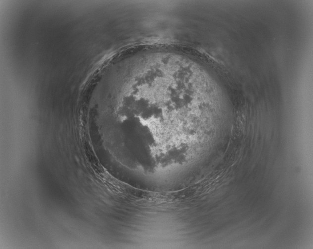 X0000056371254200509021805