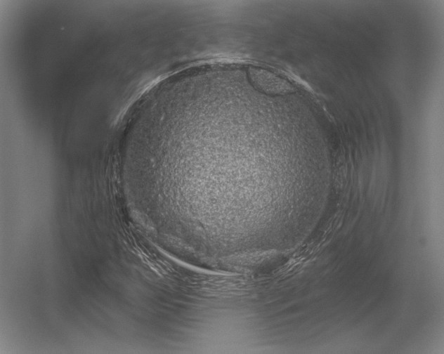 X0000056371255200509021805