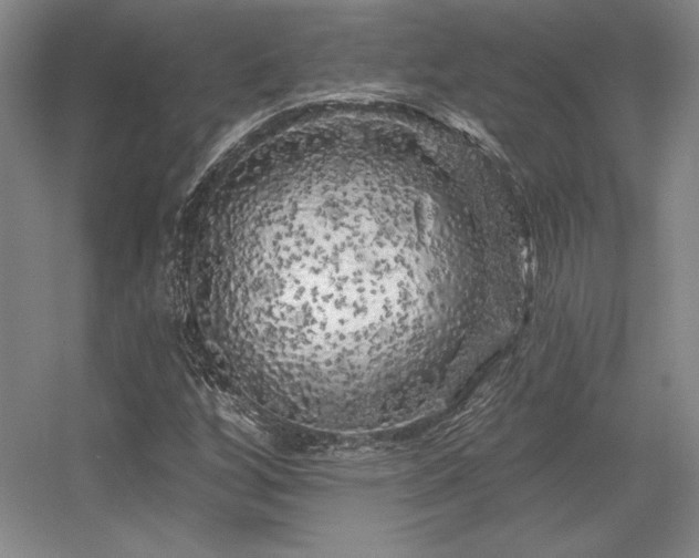 X0000056371256200509021805