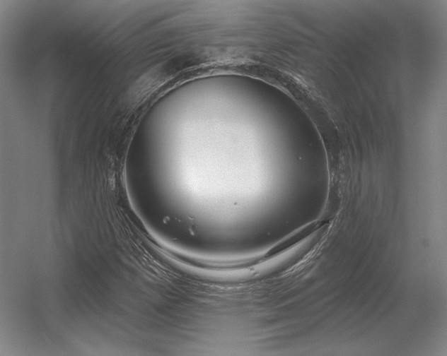 X0000056371257200509021805