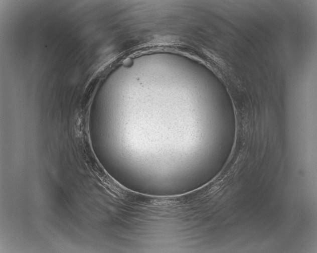 X0000056371258200509021805