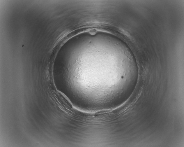 X0000056371259200509021805