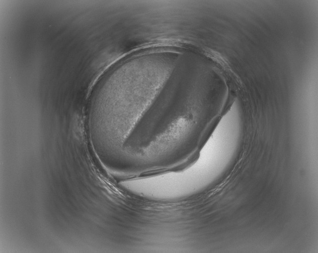 X0000056371260200509021805