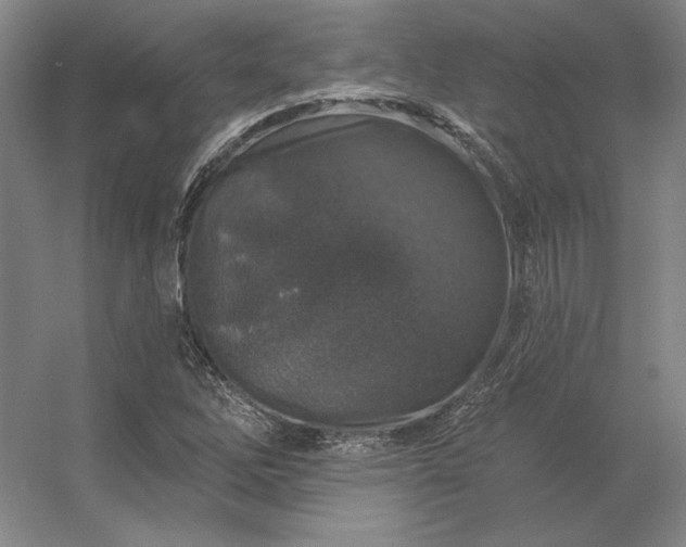 X0000056371262200509021805