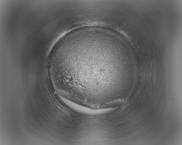 X0000056371263200509021805