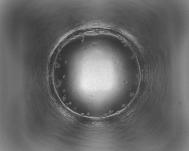 X0000056371264200509021805