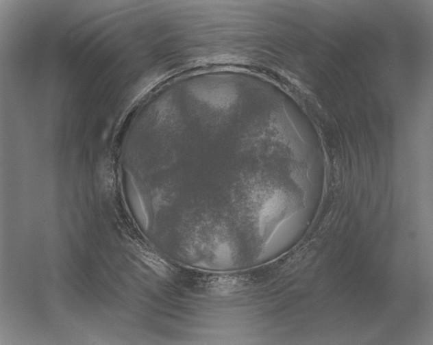 X0000056371266200509021805