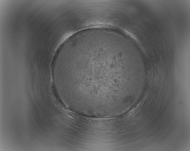 X0000056371267200509021805