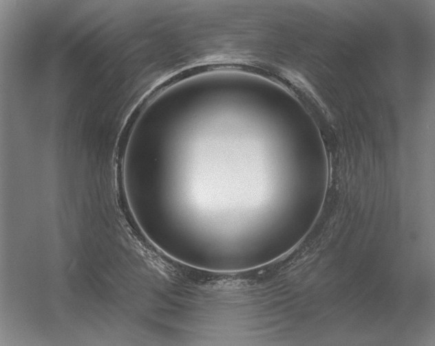 X0000056371268200509021805