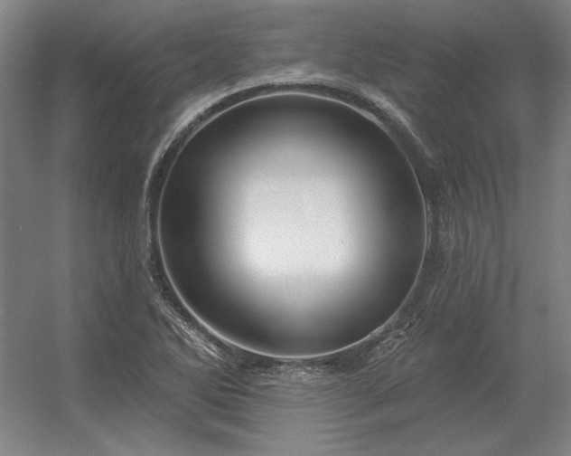 X0000056371270200509021805