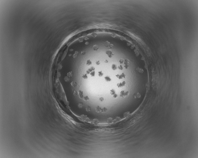 X0000056371272200509021805