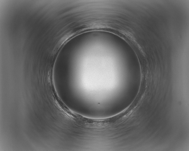 X0000056371273200509021805