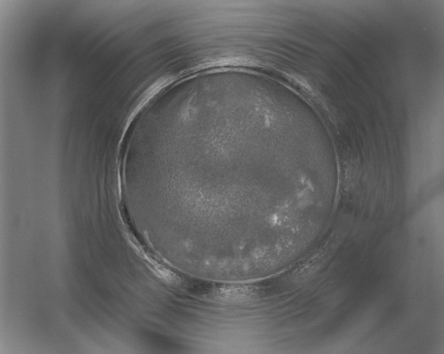 X0000056371274200509021805