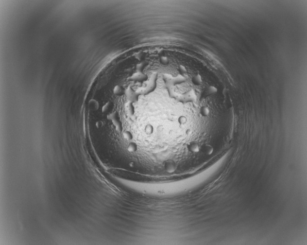 X0000056371275200509021805