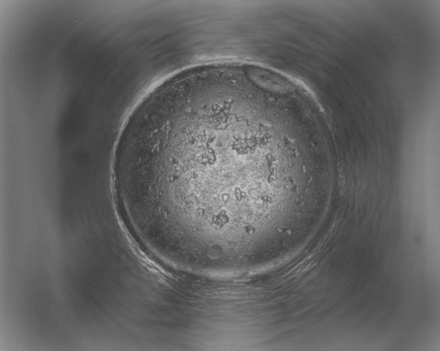 X0000056371279200509021804