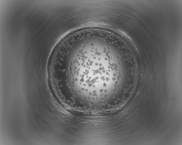 X0000056371280200509021804